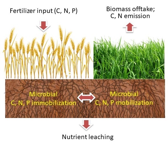 NutriSTORM principles
